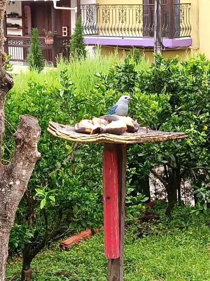 Bird House - Apartament Хардин Екстериор снимка