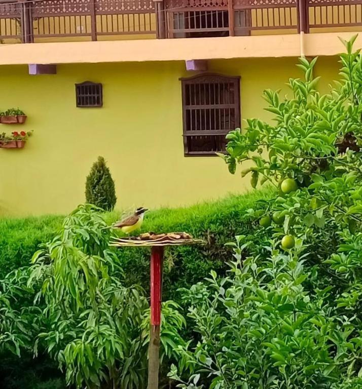 Bird House - Apartament Хардин Екстериор снимка